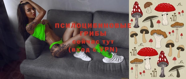 метадон Богданович