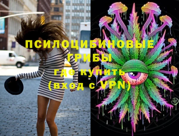 бошки Слюдянка