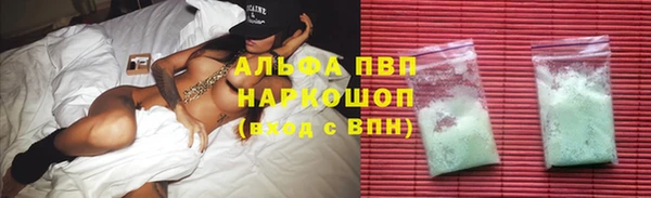 метадон Богданович
