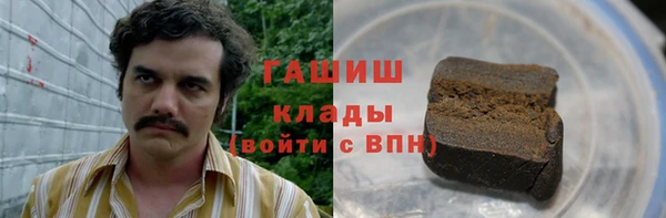 метадон Богданович