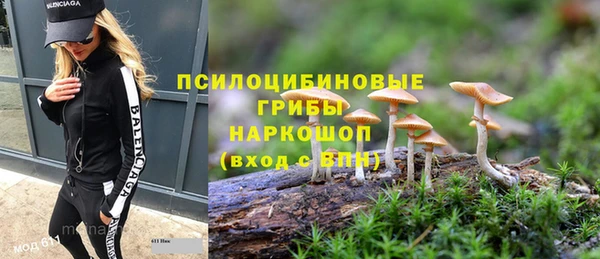 метадон Богданович