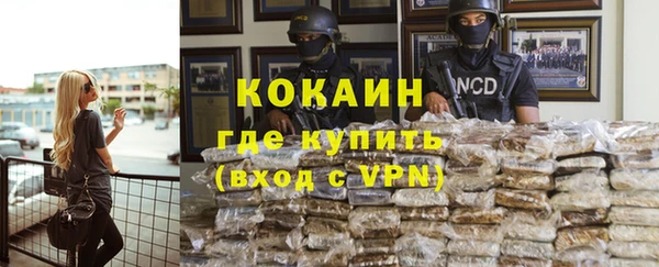 метадон Богданович