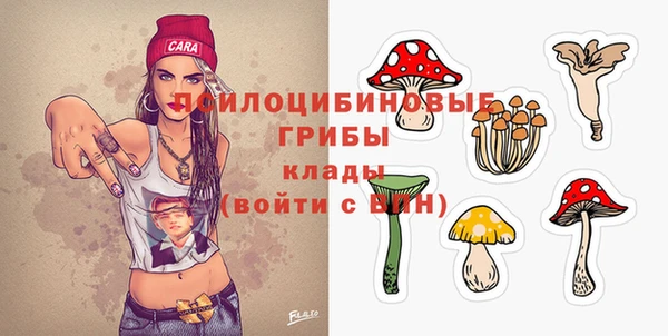 стафф Богородицк