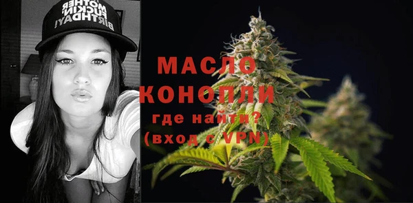 метадон Богданович